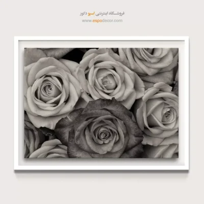 تابلو بوم مینیمال رمانتیک - بافت گل رز – تابلو سیاه و سفید - اسپو دکور