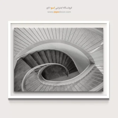 تابلو دیواری سیاه و سفید لوکس برای اتاق خواب - حلزون سفید – تابلو سیاه و سفید - اسپو دکور