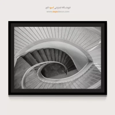 تابلو دیواری سیاه و سفید لوکس برای اتاق خواب - حلزون سفید – تابلو سیاه و سفید - اسپو دکور