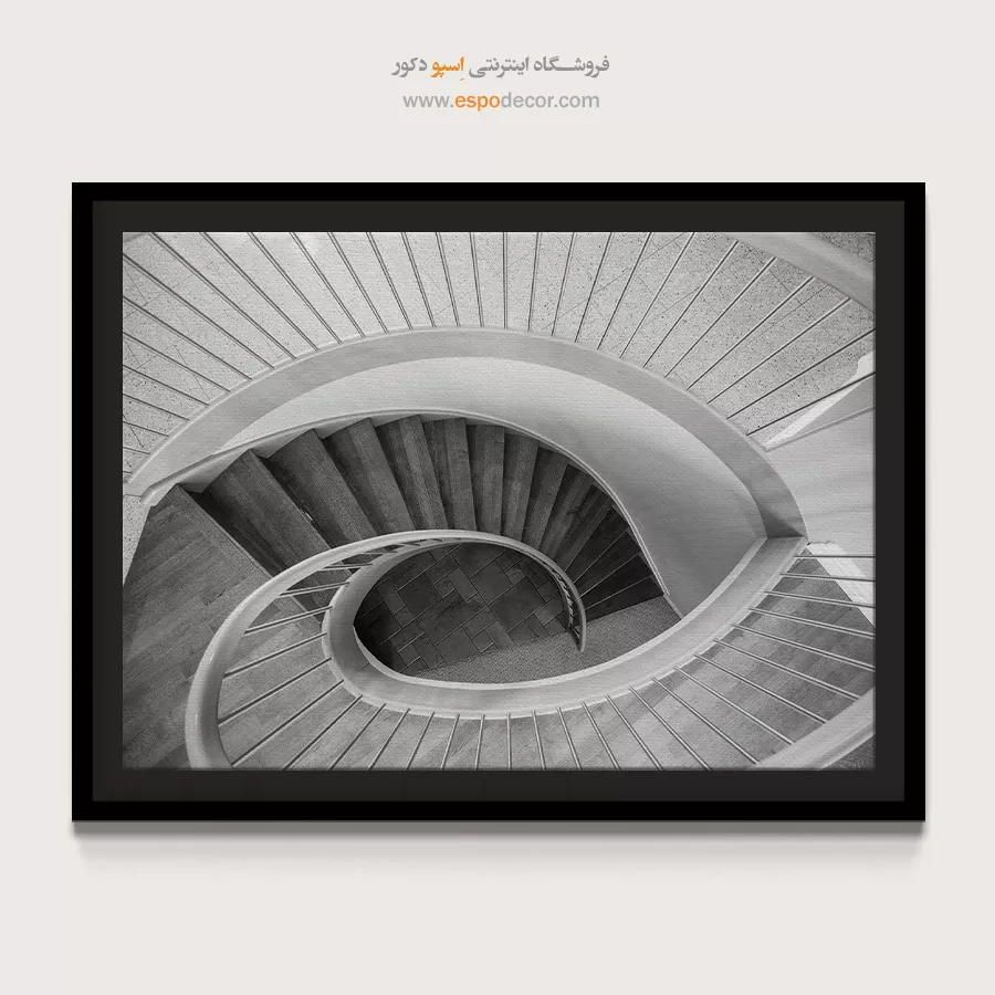 تابلو دیواری سیاه و سفید لوکس برای اتاق خواب - حلزون سفید – تابلو سیاه و سفید - اسپو دکور