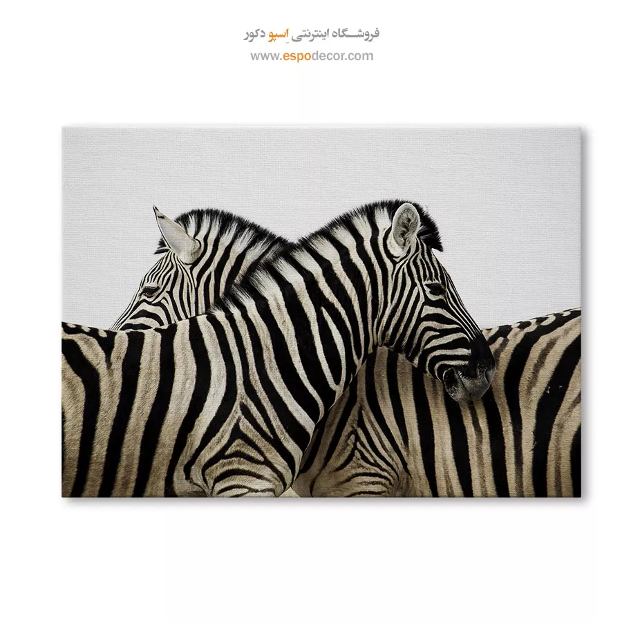 خرید تابلو سیاه و سفید برای دکور مینیمال - راه راه – تابلو سیاه و سفید - اسپو دکور