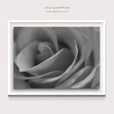 تابلو گل رز - بافت ابریشمی – تابلو سیاه و سفید - اسپو دکور