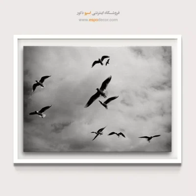 تابلو پرندگان سیاه و سفید - رقص میان ابرها – تابلو سیاه و سفید - اسپو دکور