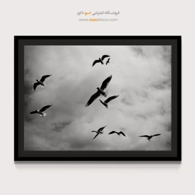تابلو پرندگان سیاه و سفید - رقص میان ابرها – تابلو سیاه و سفید - اسپو دکور