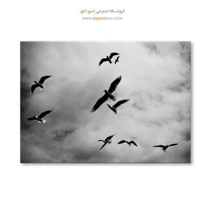 تابلو پرندگان سیاه و سفید - رقص میان ابرها – تابلو سیاه و سفید - اسپو دکور