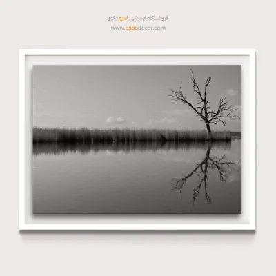 خرید تابلو سیاه و سفید برای اتاق شیک و زیبا - مرداب خاموش – تابلو سیاه و سفید - اسپو دکور