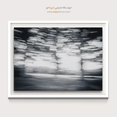 تابلو دکوراتیو انتزاعی - سرعت در جنگل – تابلو سیاه و سفید - اسپو دکور
