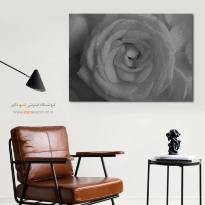 هدیه ولنتاین - رز شبنم ‌زده – تابلو سیاه و سفید - اسپو دکور