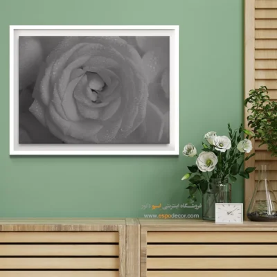 هدیه ولنتاین - رز شبنم ‌زده – تابلو سیاه و سفید - اسپو دکور