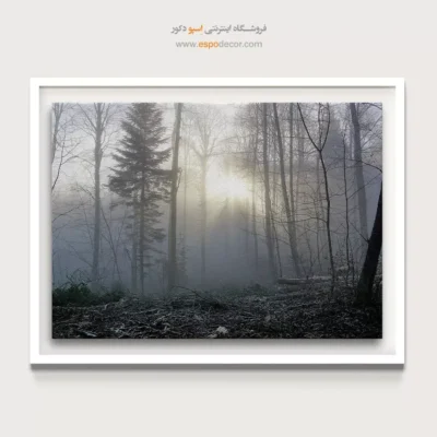 فروش تابلو بوم سیاه و سفید جدید - شکافنده مه – تابلو سیاه و سفید - اسپو دکور