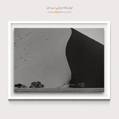 تابلو منظره کویر - تقسیم صحرا – تابلو سیاه و سفید - اسپو دکور