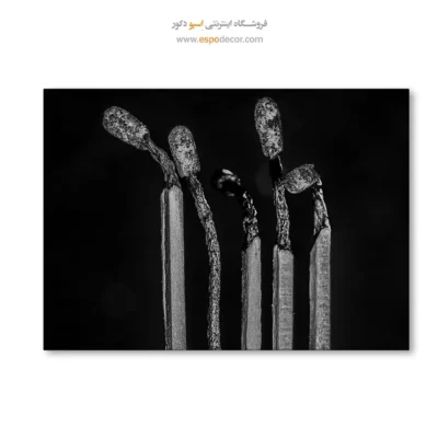 تابلو دیواری سیاه و سفید مفهومی - سوخته – تابلو سیاه و سفید - اسپو دکور