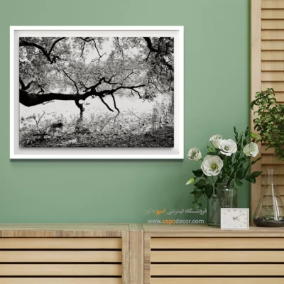 تابلو طبیعت مدرن - کهنسال – تابلو سیاه و سفید - اسپو دکور
