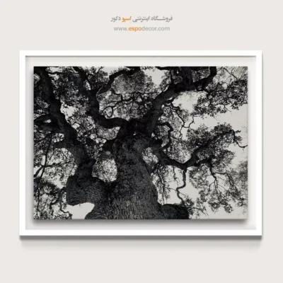 تابلو برای فضای یوگا و آرامش - درخت زندگی – تابلو سیاه و سفید - اسپو دکور
