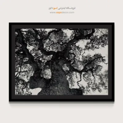 تابلو برای فضای یوگا و آرامش - درخت زندگی – تابلو سیاه و سفید - اسپو دکور