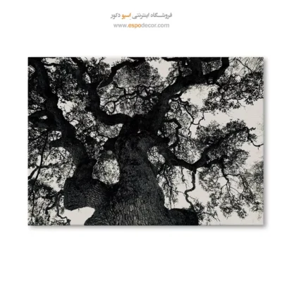 تابلو برای فضای یوگا و آرامش - درخت زندگی – تابلو سیاه و سفید - اسپو دکور