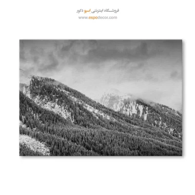 تابلو برای ویلا - آغوش مه – تابلو سیاه و سفید - اسپو دکور