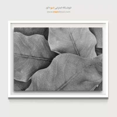 تابلو برای سالن ماساژ - نفس گیاه – تابلو سیاه و سفید - اسپو دکور