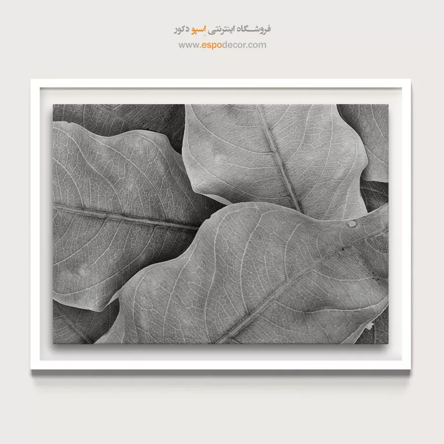 تابلو برای سالن ماساژ - نفس گیاه – تابلو سیاه و سفید - اسپو دکور
