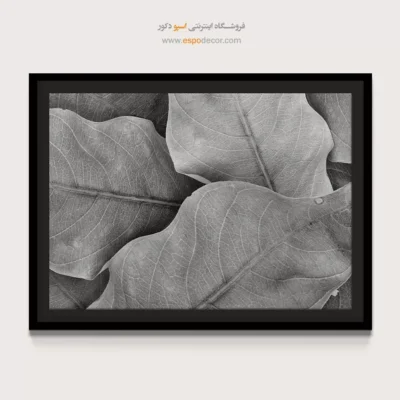 تابلو برای سالن ماساژ - نفس گیاه – تابلو سیاه و سفید - اسپو دکور