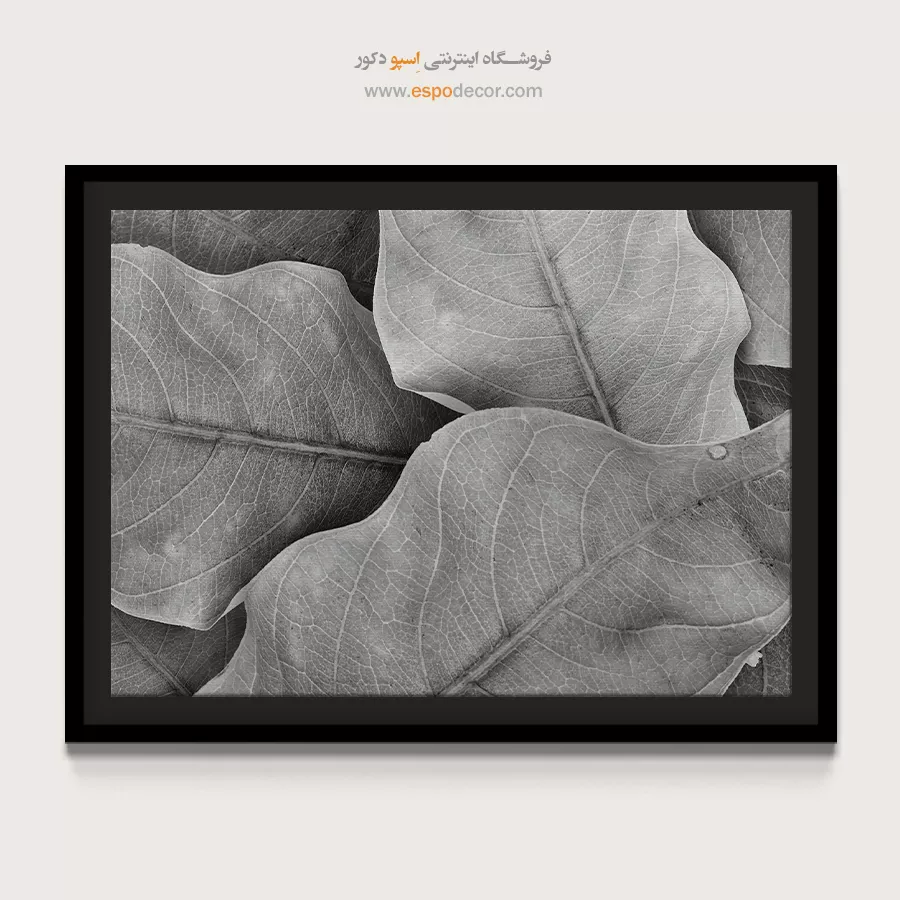تابلو برای سالن ماساژ - نفس گیاه – تابلو سیاه و سفید - اسپو دکور