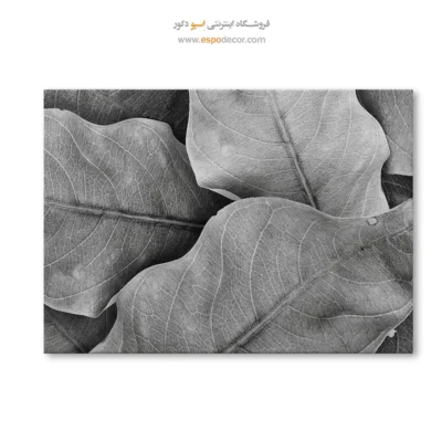 تابلو برای سالن ماساژ - نفس گیاه – تابلو سیاه و سفید - اسپو دکور