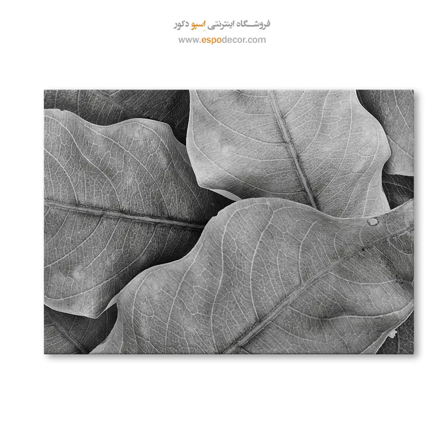 تابلو برای سالن ماساژ - نفس گیاه – تابلو سیاه و سفید - اسپو دکور
