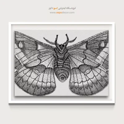 دکوراسیون هنری خاص - شب‌پره – تابلو سیاه و سفید - اسپو دکور
