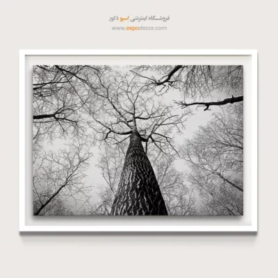 تابلو برای دکوراسیون مدرن اداری - تنفس – تابلو سیاه و سفید - اسپو دکور