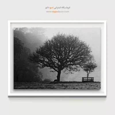 تابلو منظره روستایی - صبح روستا – تابلو سیاه و سفید - اسپو دکور