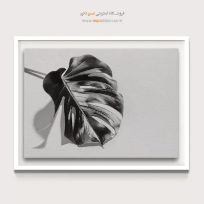 تابلو مدرن - انجیری – تابلو سیاه و سفید - اسپو دکور