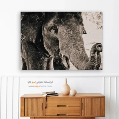 تابلو بزرگ برای پذیرایی - نگاه خردمند – تابلو سیاه و سفید - اسپو دکور