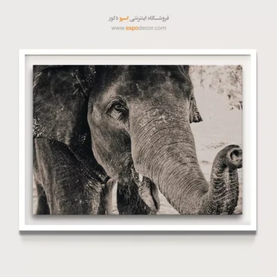 تابلو بزرگ برای پذیرایی - نگاه خردمند – تابلو سیاه و سفید - اسپو دکور