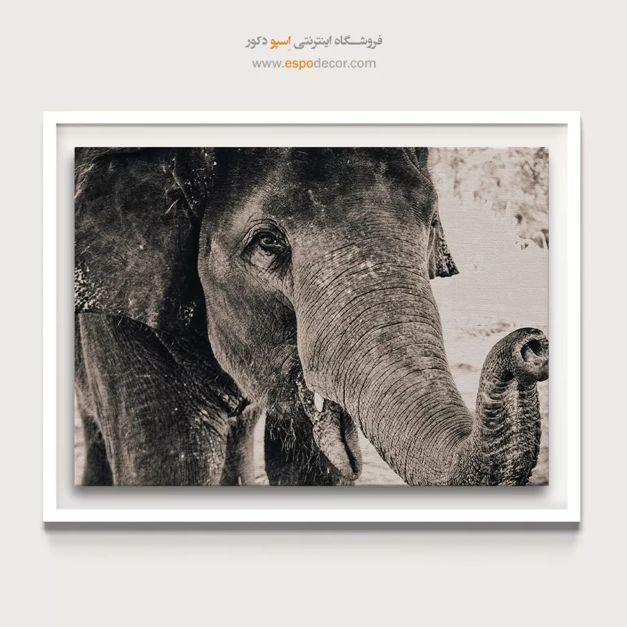 تابلو بزرگ برای پذیرایی - نگاه خردمند – تابلو سیاه و سفید - اسپو دکور