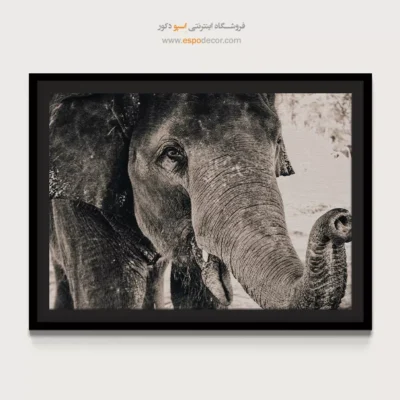 تابلو بزرگ برای پذیرایی - نگاه خردمند – تابلو سیاه و سفید - اسپو دکور