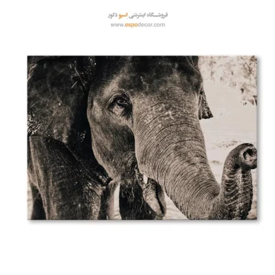 تابلو بزرگ برای پذیرایی - نگاه خردمند – تابلو سیاه و سفید - اسپو دکور