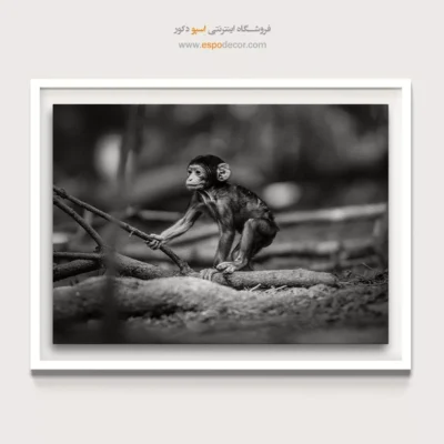 تابلو اتاق کودک - کودک جنگل – تابلو سیاه و سفید - اسپو دکور