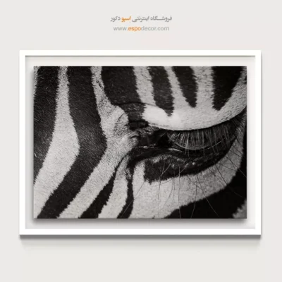 تابلو طرح راه راه - نگاه وحشی – تابلو سیاه و سفید - اسپو دکور