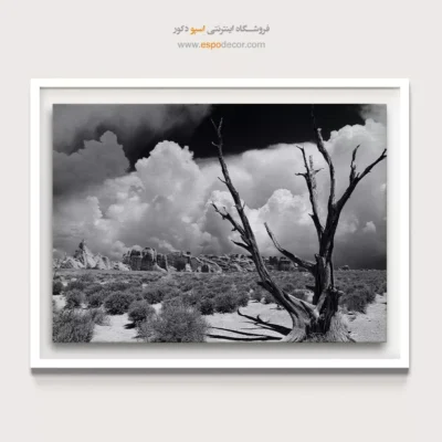 تابلو سیاه و سفید کنتراست بالا - ایستادگی – تابلو سیاه و سفید - اسپو دکور