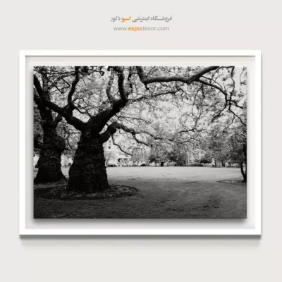 تابلو کلاسیک لابی هتل - تنومند – تابلو سیاه و سفید - اسپو دکور