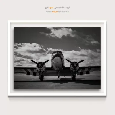 تابلو دفتر کار مردانه - ملخی – تابلو سیاه و سفید - اسپو دکور