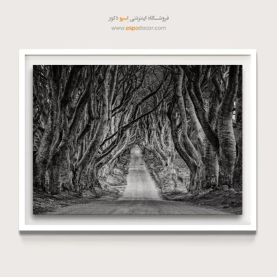 تابلو جاده جنگلی - تونل درختی – تابلو سیاه و سفید - اسپو دکور