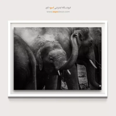 تابلو سیاه و سفید حیات وحش - خانواده مهربان – تابلو سیاه و سفید - اسپو دکور