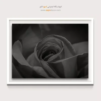 تابلو عاشقانه برای اتاق خواب - قلب رز – تابلو سیاه و سفید - اسپو دکور