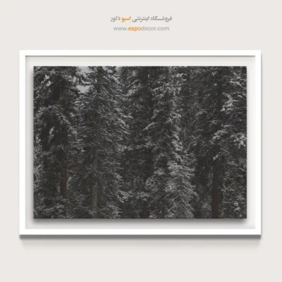 دکوراسیون rustic - برف و کاج – تابلو سیاه و سفید - اسپو دکور