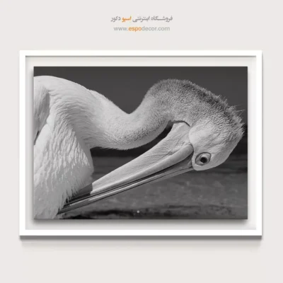 تابلو طبیعت مینیمال - پلیکان – تابلو سیاه و سفید - اسپو دکور