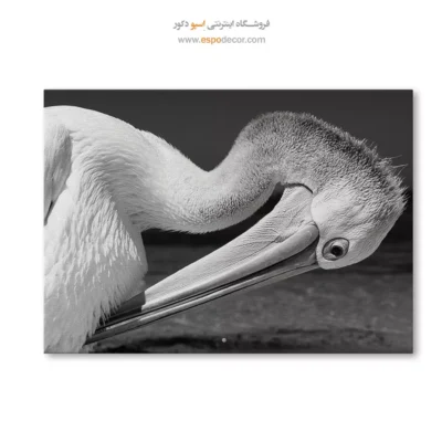 تابلو طبیعت مینیمال - پلیکان – تابلو سیاه و سفید - اسپو دکور