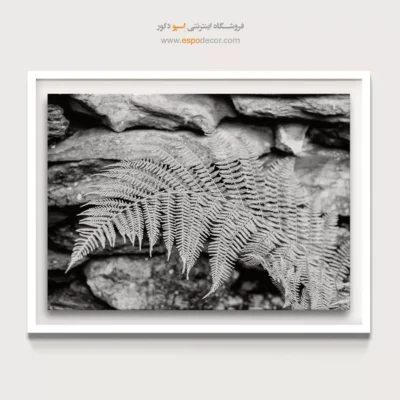 تابلو دکوراسیون روستیک سیاه سفید - سرخس – تابلو سیاه و سفید - اسپو دکور