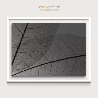 تابلو دکوراسیون گیاهشناسی - شبکه حیات – تابلو سیاه و سفید - اسپو دکور