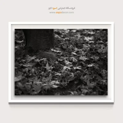 تابلو بوم آرامش بخش - افرا – تابلو سیاه و سفید - اسپو دکور
